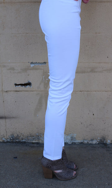 Ponte Straight Pant