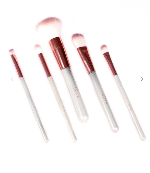 Slayday 5-Piece Makeup Brush Set