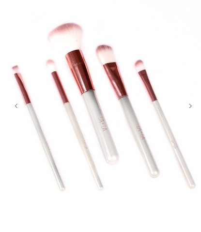 Slayday 5-Piece Makeup Brush Set